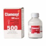 CLAMOXYL 500 mg